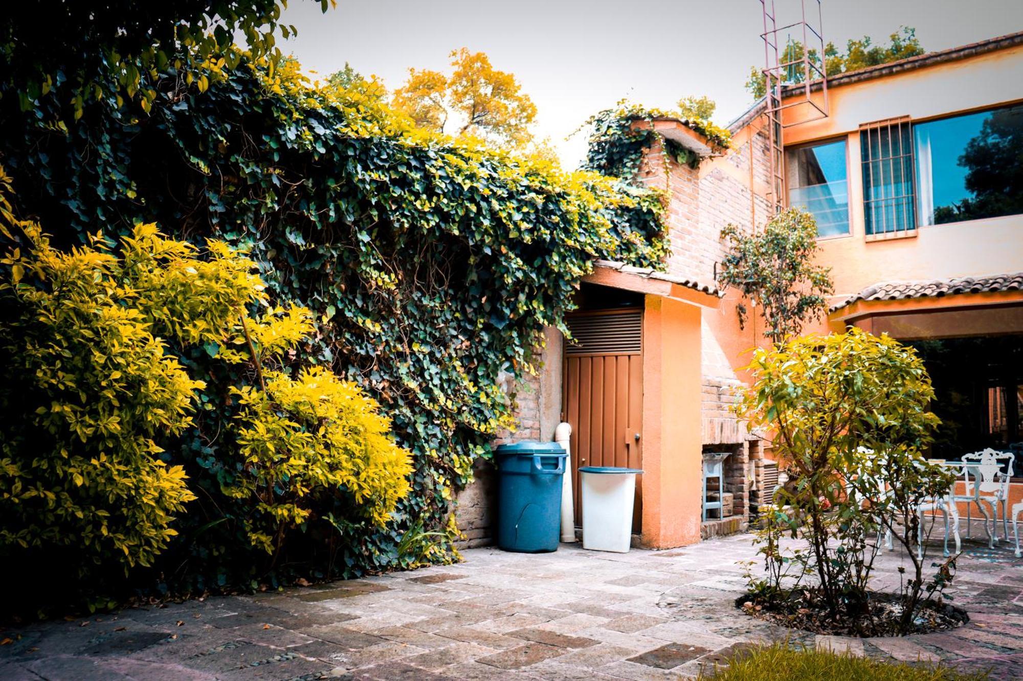 מקסיקו סיטי Suites Cuija Coyoacan מראה חיצוני תמונה